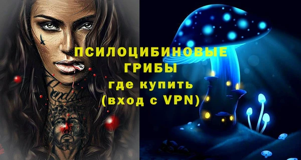 винт Арсеньев