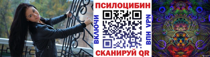 OMG как зайти  Омутнинск  Псилоцибиновые грибы GOLDEN TEACHER 